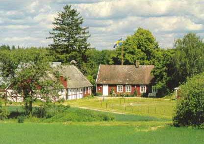 Trumpetarbost�llet i Billinge