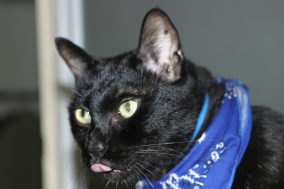 This image has been resized