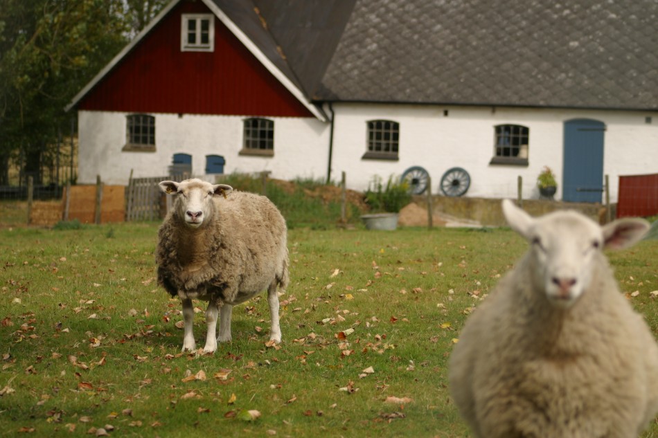 This image has been resized