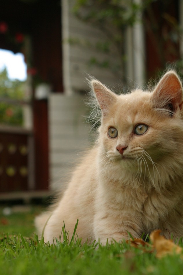 This image has been resized