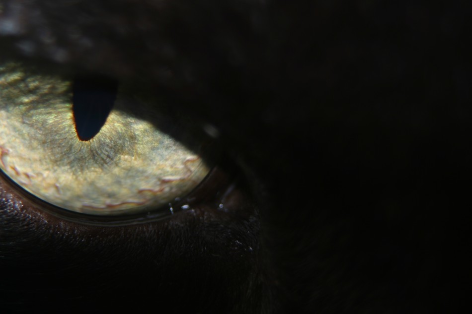 This image has been resized