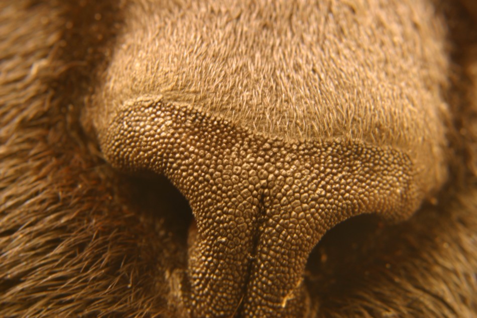 This image has been resized