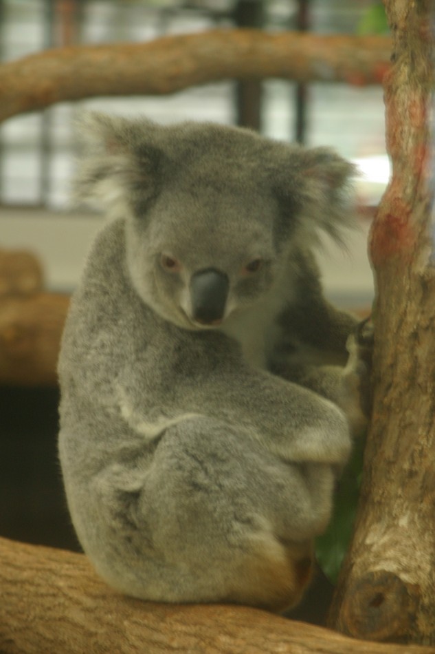 This image has been resized