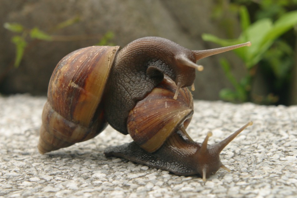 This image has been resized