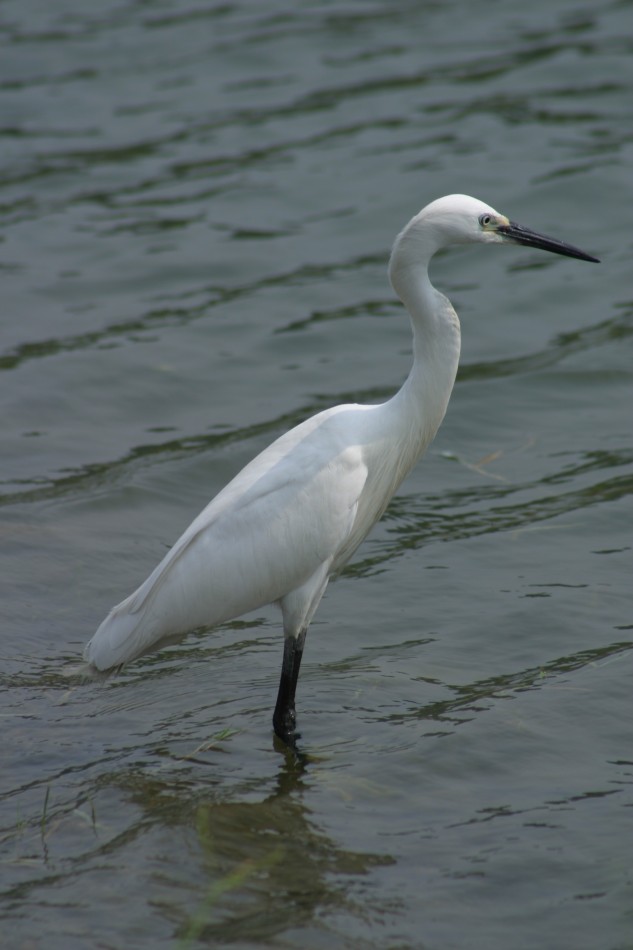 This image has been resized