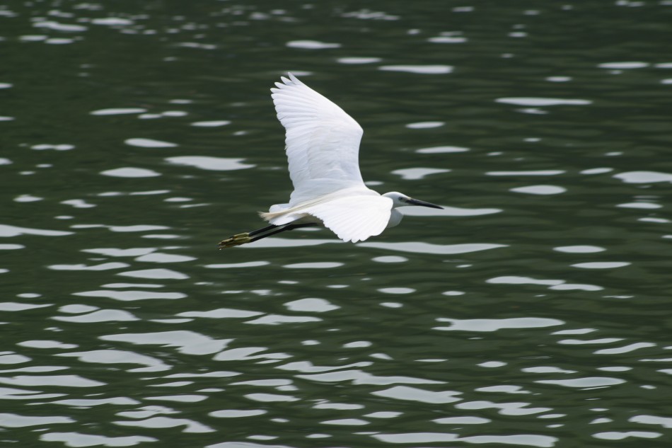 This image has been resized