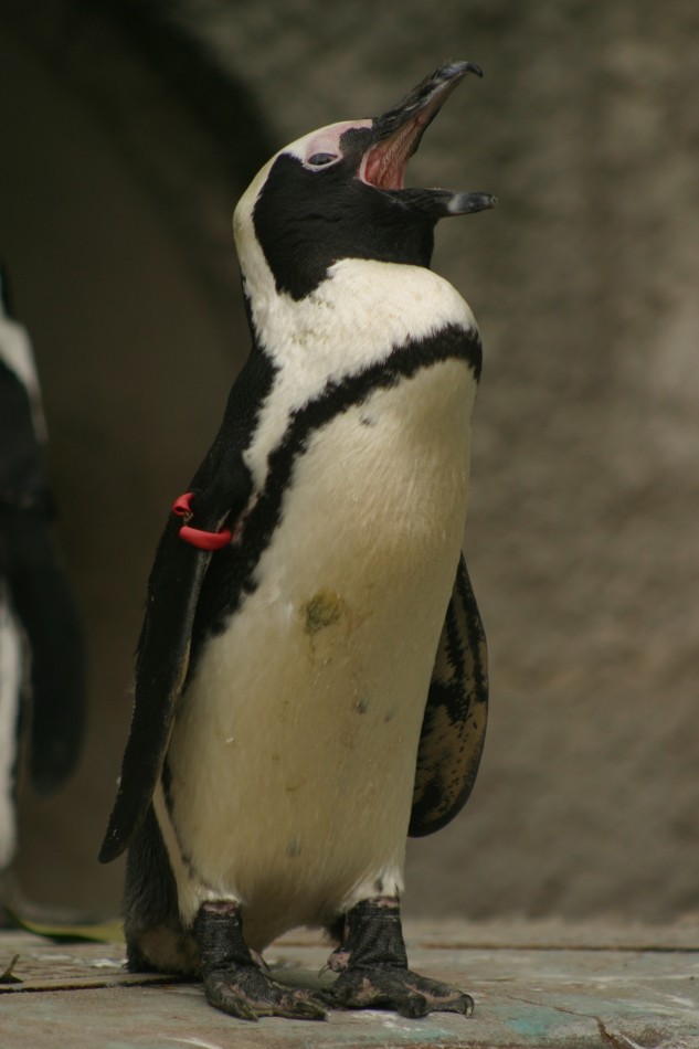 This image has been resized