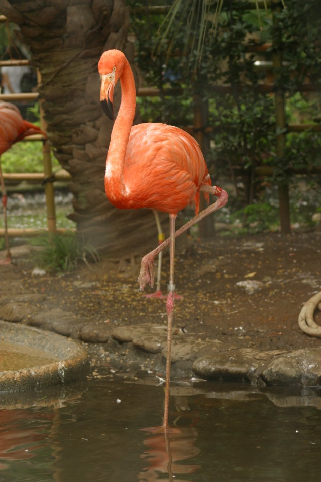 This image has been resized