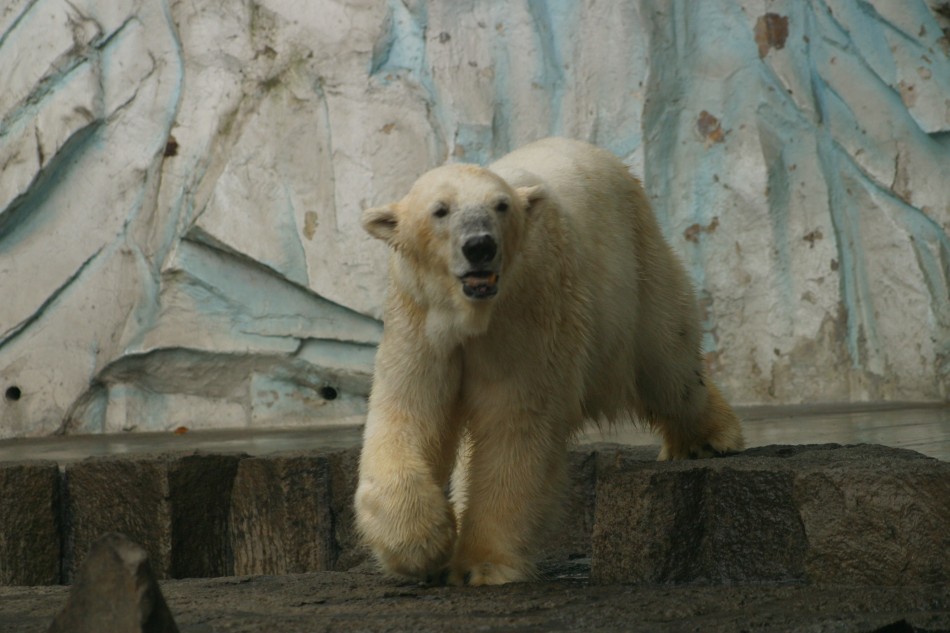 This image has been resized