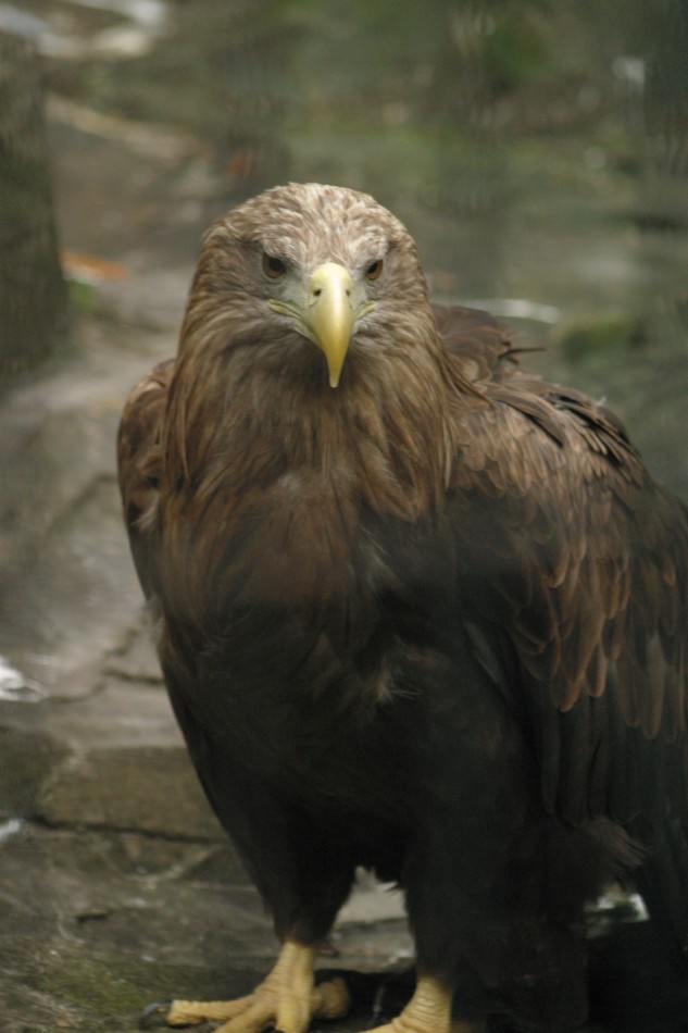 This image has been resized