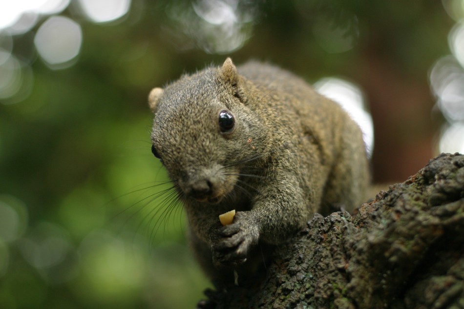 This image has been resized