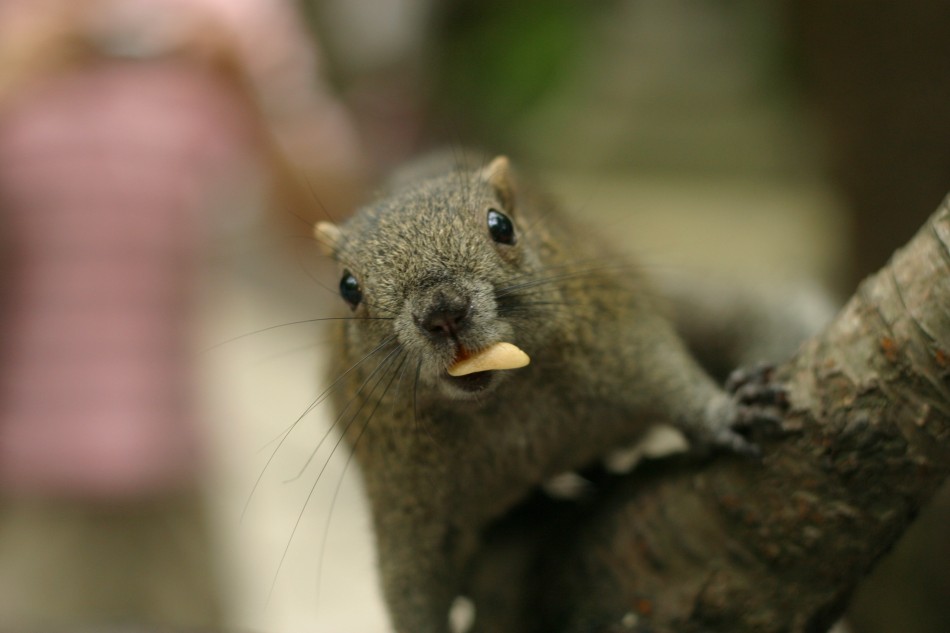 This image has been resized