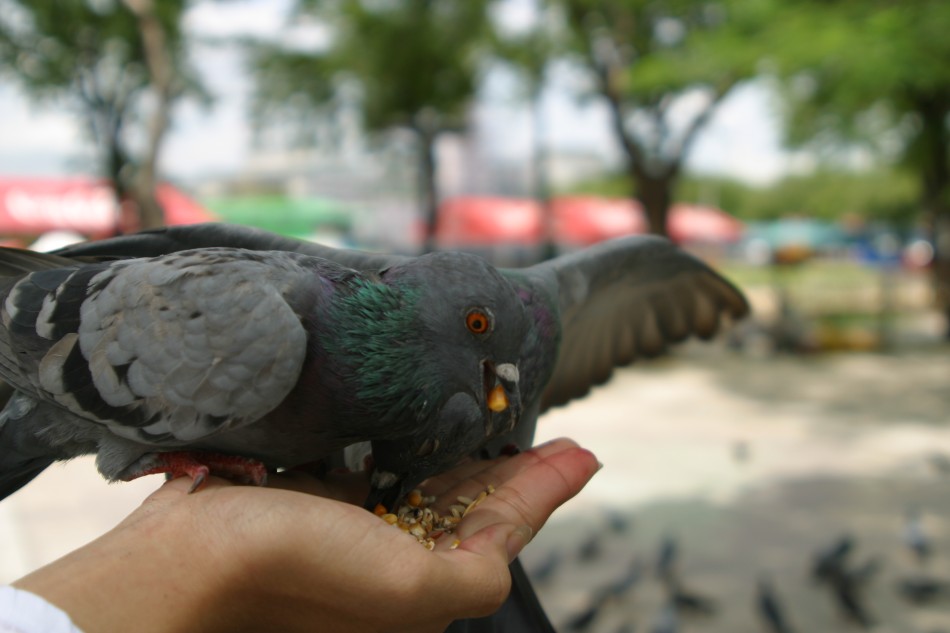 This image has been resized