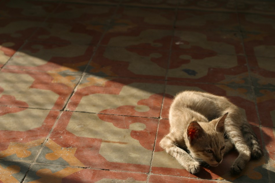 This image has been resized