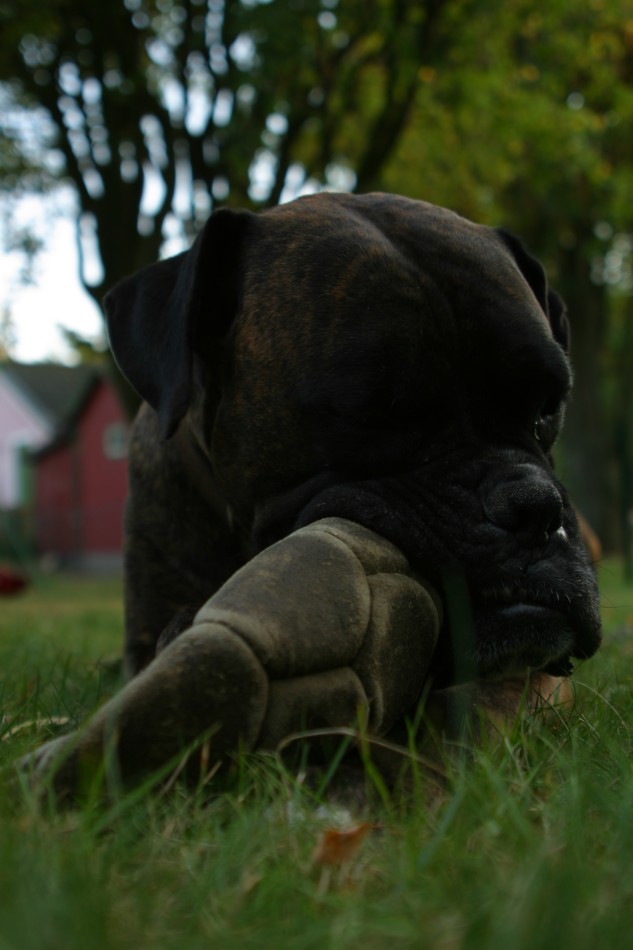 This image has been resized