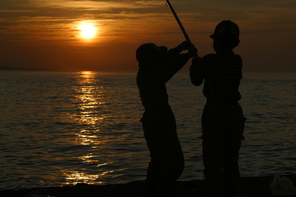 This image has been resized