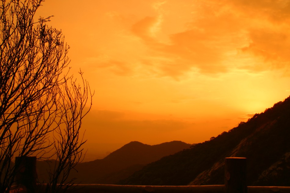 This image has been resized